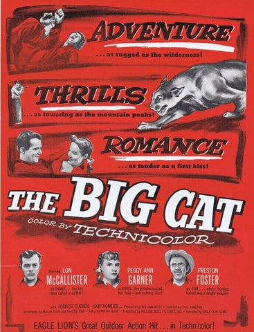 1949 The Big Cat ORIGINAL Vintage 9x12 Industry Ad Lon McCallister