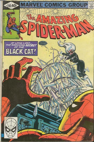 Amazing Spiderman #205 ORIGINAL Vintage 1980 Marvel Comics 4th App Black Cat