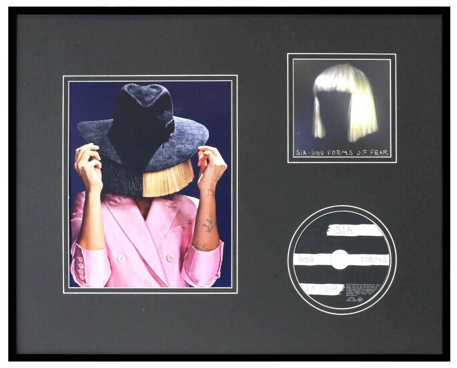 Sia 16x20 Framed 1000 Forms of Fear CD & Photo Display