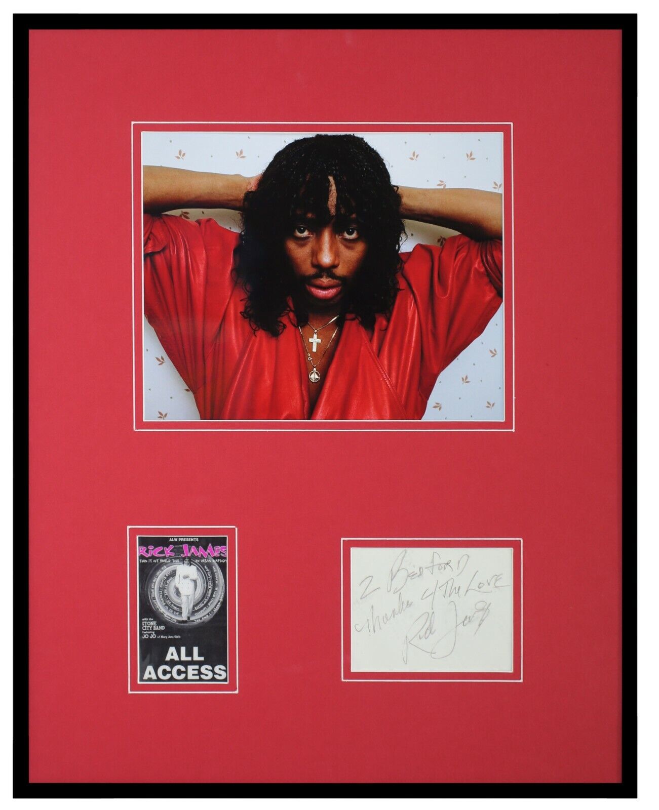 Rick James Signed Framed 16x20 Photo + Vintage Backstage Pass Display JSA