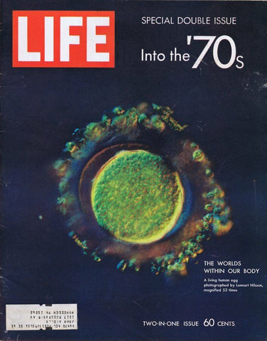 ORIGINAL Vintage Life Magazine The '70s Special Issue