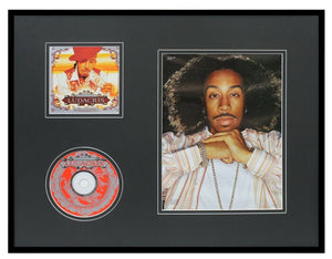 Ludacris 16x20 Framed Red Light District CD & Photo Display