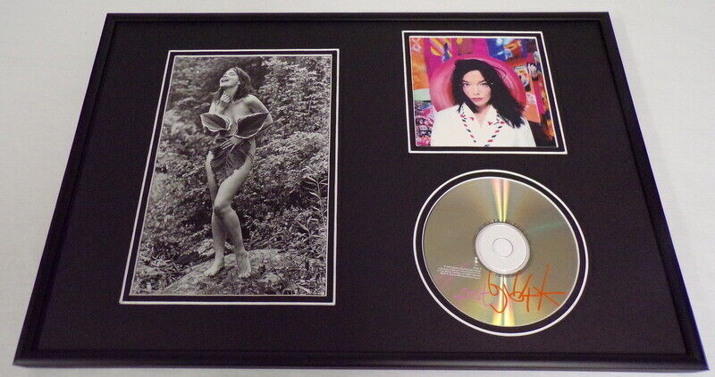 Bjork 12x18 Framed CD & Photo Display